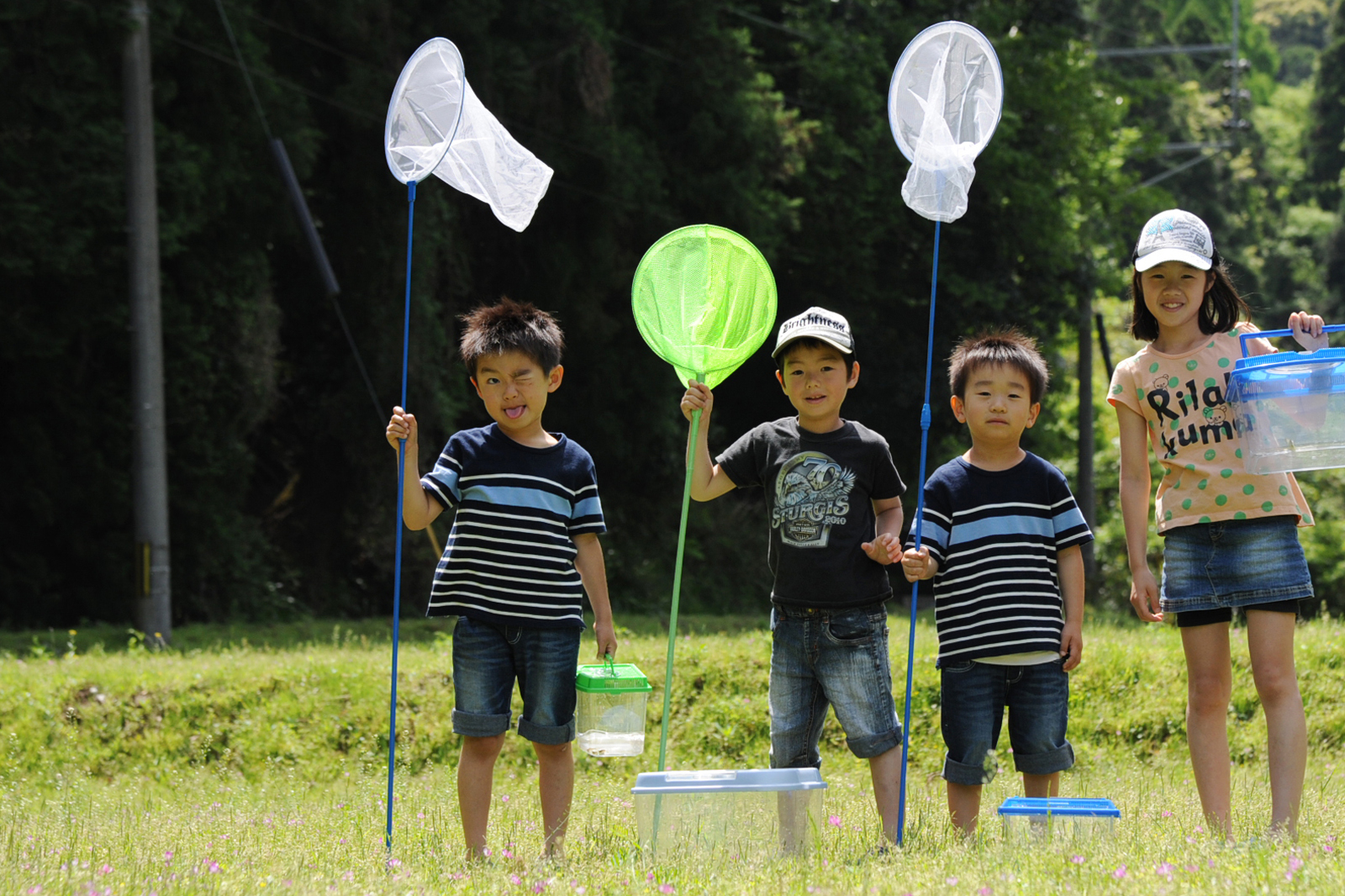 サンプル画像_3